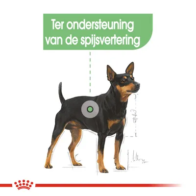 Illustratie van een hond met tekst: Ter ondersteuning van de spijsvertering.