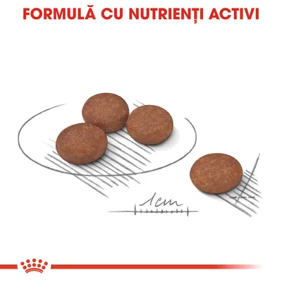 Patru crochete rotunde, diametru aproximativ 1 cm, text: FORMULĂ CU NUTRIENȚI ACTIVI