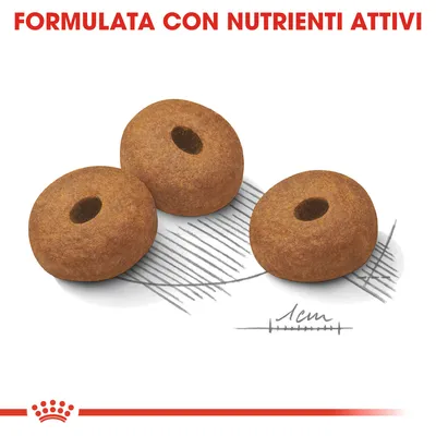 Tre crocchette rotonde con foro centrale, dimensione indicata 1 cm. Testo visibile: FORMULATA CON NUTRIENTI ATTIVI.