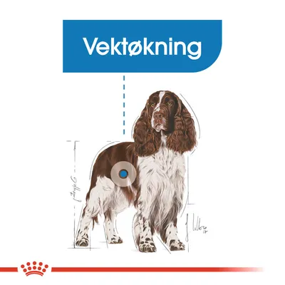 Royal Canin Medium Light Weight Care