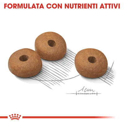 Tre crocchette tonde con foro centrale, dimensione indicata di 1 cm. Testo visibile: FORMULATA CON NUTRIENTI ATTIVI.