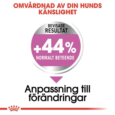 Omvårdnad av din hunds känslighet. Bevisade resultat: +44 % normalt beteende. Anpassning till förändringar.