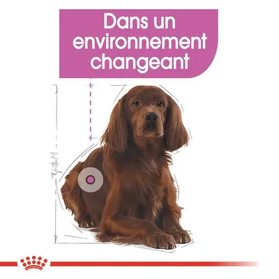 Texte : Dans un environnement changeant. Illustration d’un chien assis avec schémas techniques et symbole circulaire sur le flanc. Marque visible en bas de l’image.