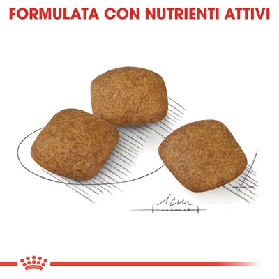 Tre crocchette quadrate, dimensione indicata 1 cm, con testo in alto: FORMULATA CON NUTRIENTI ATTIVI. Logo corona rossa visibile in basso.