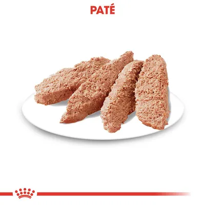 Fyra skivor paté på vit tallrik, texten PATÉ synlig överst i bilden.