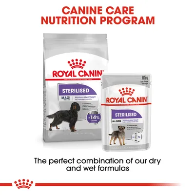 Royal Canin Sterilised dry and wet food packaging shown with text: 'Canine Care Nutrition Program' and 'The perfect combination of our dry and wet formulas'.