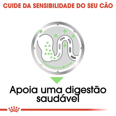 Texto: 'Cuide da sensibilidade do seu cão'. Ilustração de intestino com setas verdes. Texto: 'Apoia uma digestão saudável'.