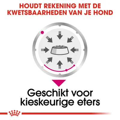 Houdt rekening met de kwetsbaarheden van je hond. Geschikt voor kieskeurige eters.