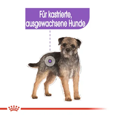 Für kastrierte, ausgewachsene Hunde. Abbildung eines Hundes mit Markierung am Körper.