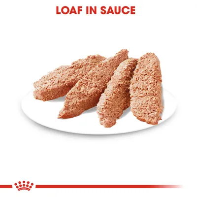 Sliced loaf in sauce displayed on a white plate, showing product texture and form. Text above reads 'Loaf in Sauce'.