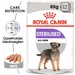 Royal Canin Sterilised Mousse