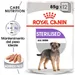 Royal Canin Sterilised Paté umido per cani
