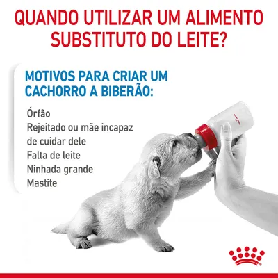 Texto: Quando utilizar um alimento substituto do leite? Motivos para criar um cachorro a biberão: Órfão, Rejeitado ou mãe incapaz de cuidar dele, Falta de leite, Ninhada grande, Mastite. Texto: Quando utilizar um alimento substituto do leite? Motivos para criar um cachorro a biberão: Órfão, Rejeitado ou mãe incapaz de cuidar dele, Falta de leite, Ninhada grande, Mastite.