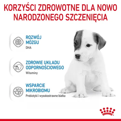 Korzyści zdrowotne dla nowo narodzonego szczenięcia: rozwój mózgu (DHA), zdrowie układu odpornościowego (witaminy), wsparcie mikrobiomu (prebiotyki i wysokostrawne białka).