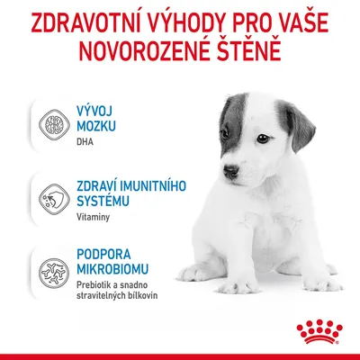 Zdravotní výhody pro štěně: vývoj mozku (DHA), zdraví imunitního systému (vitaminy), podpora mikrobiomu (prebiotika a snadno stravitelné bílkoviny).