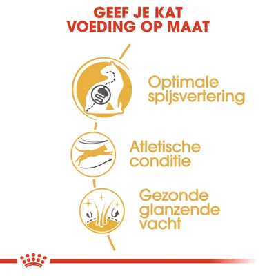 Geef je kat voeding op maat: optimale spijsvertering, atletische conditie, gezonde glanzende vacht. Tekst en pictogrammen benadrukken deze drie voordelen.