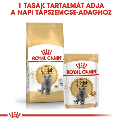 Royal Canin Adult British Shorthair macskaeledel csomagolás és tasak, 85 g. Felirat: 1 tasak tartalmát adja a napi tápszemcse-adaghoz.