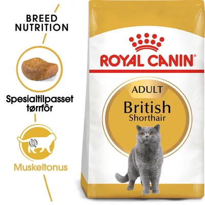 Royal Canin British Shorthair Adult