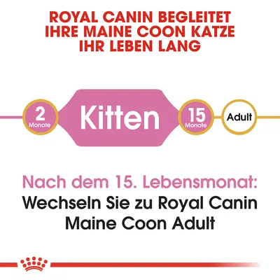 Royal Canin begleitet Ihre Maine Coon Katze. Nach dem 15. Lebensmonat wechseln Sie zu Royal Canin Maine Coon Adult. Kitten-Futter bis 15 Monate, danach Adult-Futter.