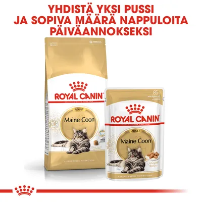 ROYAL CANIN Maine Coon Adult -kuivaruokapussi ja märkäruokapussi. Teksti: Yhdistä yksi pussi ja sopiva määrä nappuloita päiväannokseksi.
