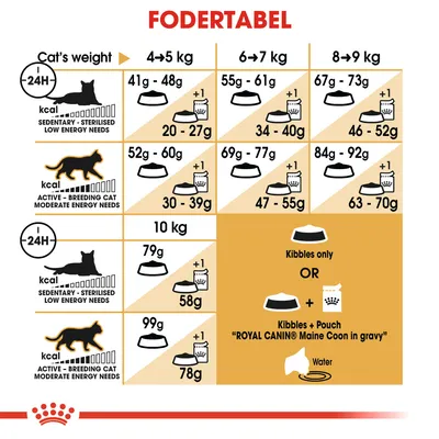 Fodertabel for katte: daglig mængde tørfoder og kombination med vådfoder efter vægt (4–10 kg) og aktivitetsniveau. Viser gram pr. dag samt mulighed for Royal Canin Maine Coon in gravy.