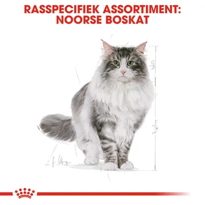 Rasspecifiek assortiment: Noorse Boskat. Afbeelding van een Noorse Boskat met merk Royal Canin kroon onderaan.
