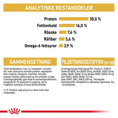 Royal Canin Norwegian Forest Cat Adult