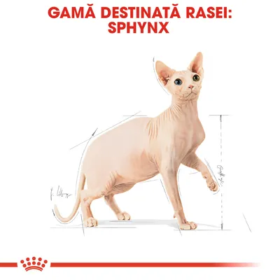 GAMĂ DESTINATĂ RASEI: SPHYNX, imagine cu o pisică Sphynx și schițe de dimensiuni corporale. Text vizibil în partea superioară a imaginii.