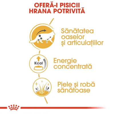 OFERĂ-I PISICII HRANA POTRIVITĂ. Sănătatea oaselor și articulațiilor, Energie concentrată, Piele și robă sănătoase.