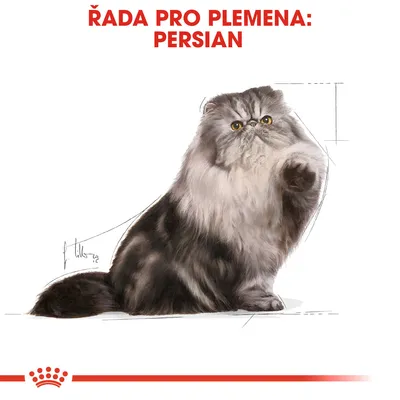 ŘADA PRO PLEMENA: PERSIAN, ilustrace perské kočky s dlouhou srstí, dole červená korunka a čára