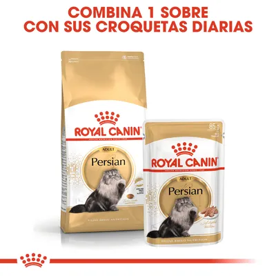 ROYAL CANIN Persian Adult. Combina 1 sobre con sus croquetas diarias. Imagen de saco y sobre de comida para gatos persas adultos, ambos con foto de un gato persa en el envase.