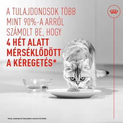 Royal Canin Appetite Control Care AirLift Mousse