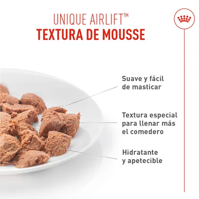 Royal Canin Appetite Control Care AirLift Mousse