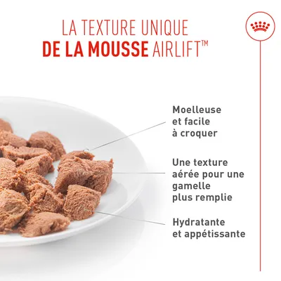 Royal Canin Appetite Control Care Mousse AirLift