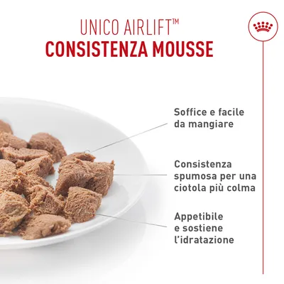 Royal Canin Appetite Control Care AirLift Mousse