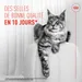 Royal Canin Digestive Care AirLift Mousse
