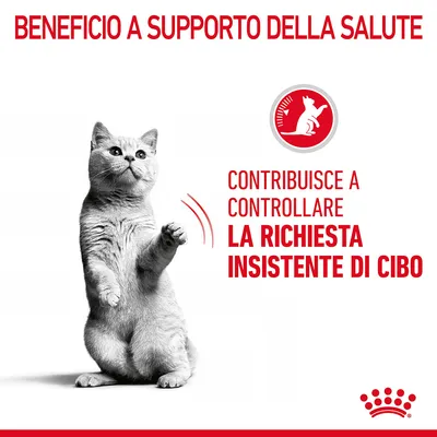 Beneficio a supporto della salute. Contribuisce a controllare la richiesta insistente di cibo.