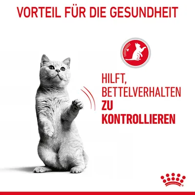 Vorteil für die Gesundheit: Hilft, Bettelverhalten zu kontrollieren. Bild einer stehenden Katze und einem Symbol mit Katze und Waage.