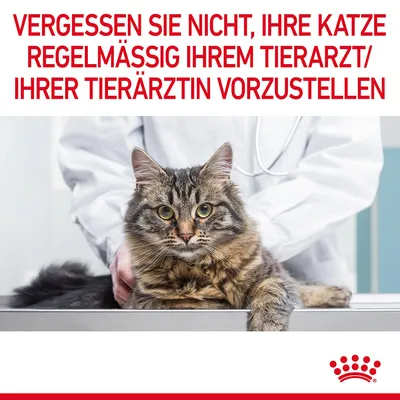 Vergessen Sie nicht, Ihre Katze regelmässig Ihrem Tierarzt oder Ihrer Tierärztin vorzustellen. Royal Canin Logo unten rechts.