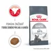 Royal Canin Dental Care