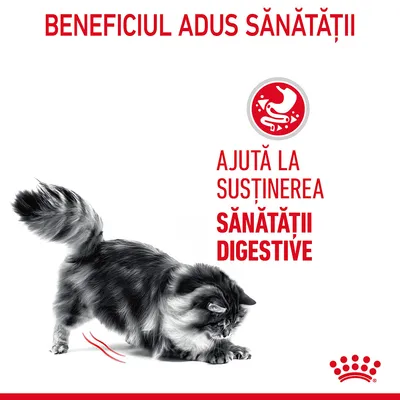 Beneficiul adus sănătății. Ajută la susținerea sănătății digestive.