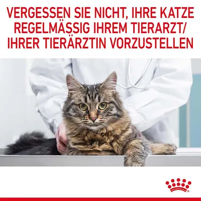 Не забывайте регулярно показывать вашу кошку ветеринару. Логотип Royal Canin внизу справа.