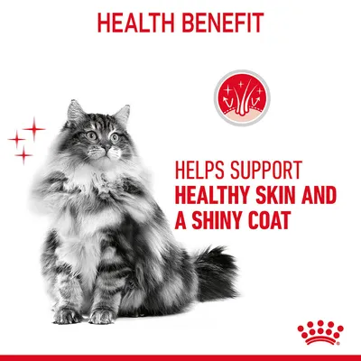 Health benefit: helps support healthy skin and a shiny coat.