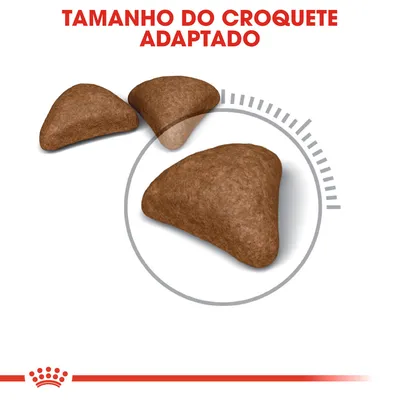 Três croquetes de ração com destaque para o tamanho, acompanhados do texto visível: 'TAMANHO DO CROQUETE ADAPTADO'.