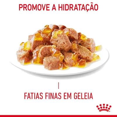 Promove a hidratação. Fatias finas em geleia. Prato com pedaços de alimento húmido em geleia, logótipo Royal Canin visível.