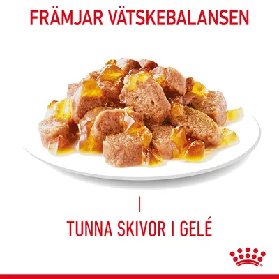 Främjar vätskebalansen. Tunna skivor i gelé. Bild på köttbitar med gelé på en vit tallrik. Royal Canin-varumärke synligt längst ner till höger.