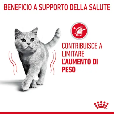 Beneficio a supporto della salute. Contribuisce a limitare l’aumento di peso. Simbolo Kcal con indicatore. Immagine di un gatto grigio. Marchio Royal Canin visibile.