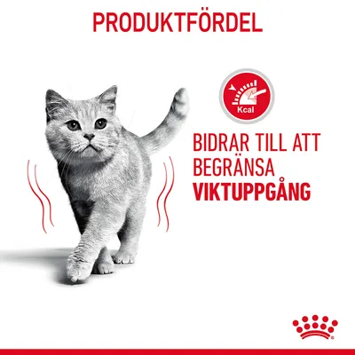 Text: Produktfördel. Bidrar till att begränsa viktuppgång. Röd symbol med texten Kcal och en mätare. Bild på grå katt.