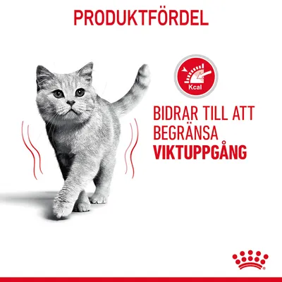 Text: Produktfördel. Bidrar till att begränsa viktuppgång. Röd symbol med texten Kcal och en katt syns i bilden.