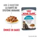 Royal Canin Urinary Care en sauce pour chat